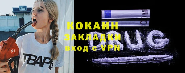 прущие грибы Богородицк
