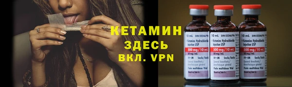 прущие грибы Богородицк