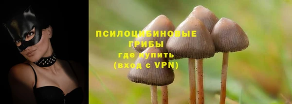 не бодяженный Богородск
