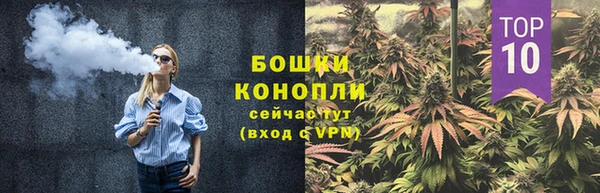 прущие грибы Богородицк