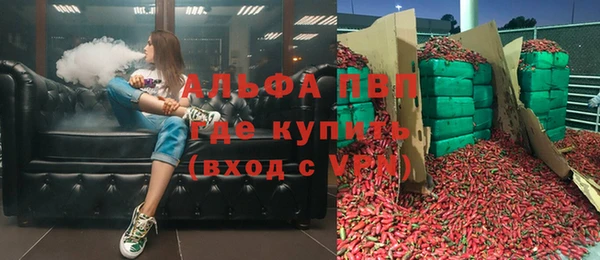 прущие грибы Богородицк
