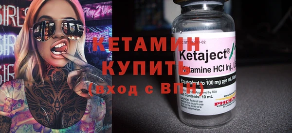 сатива Бородино