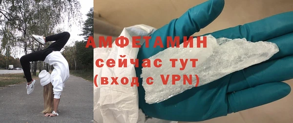 прущие грибы Богородицк