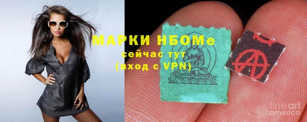 прущие грибы Богородицк