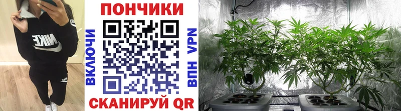 Марихуана White Widow  Дзержинск 